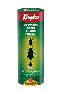 Crawling Insect Killing Powder